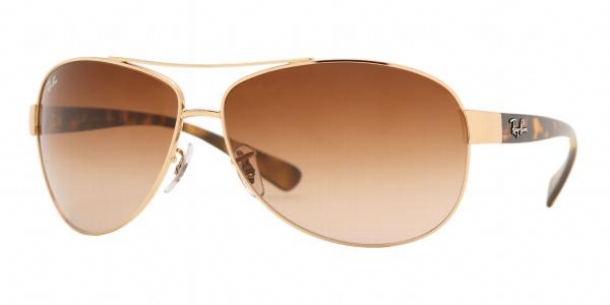 RAY BAN 3386 in color 00113