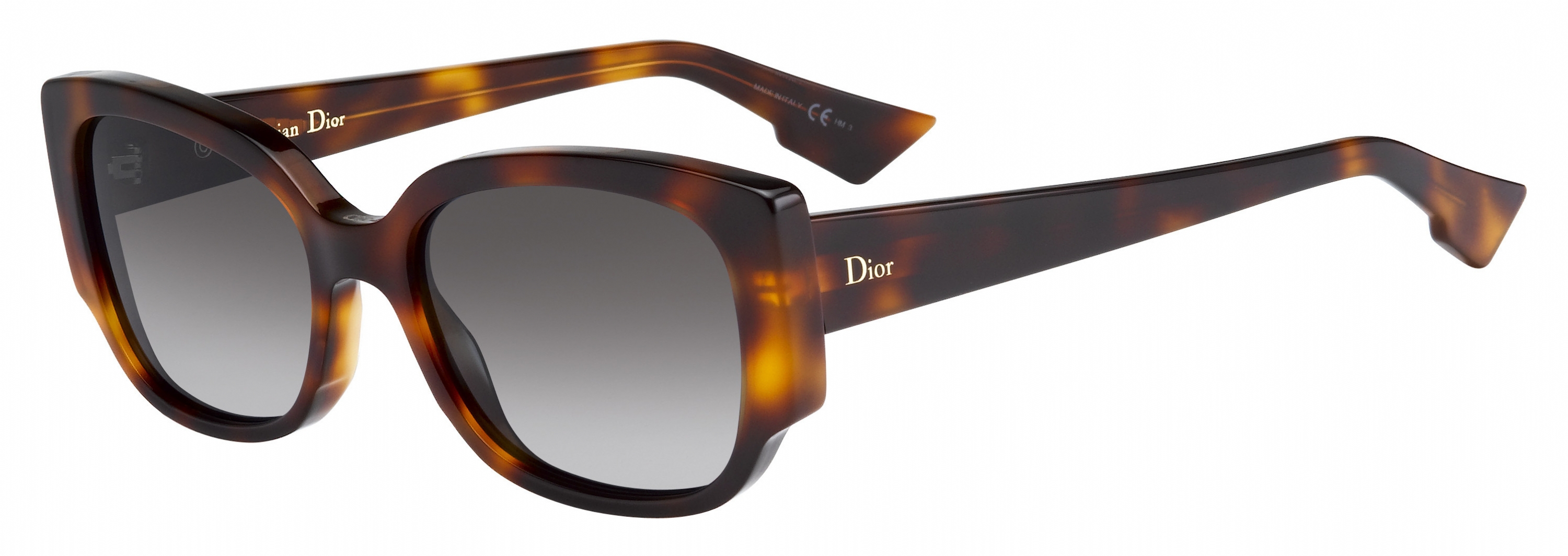 Christian Dior Night2 Sunglasses