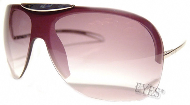Chanel 6007 Sunglasses