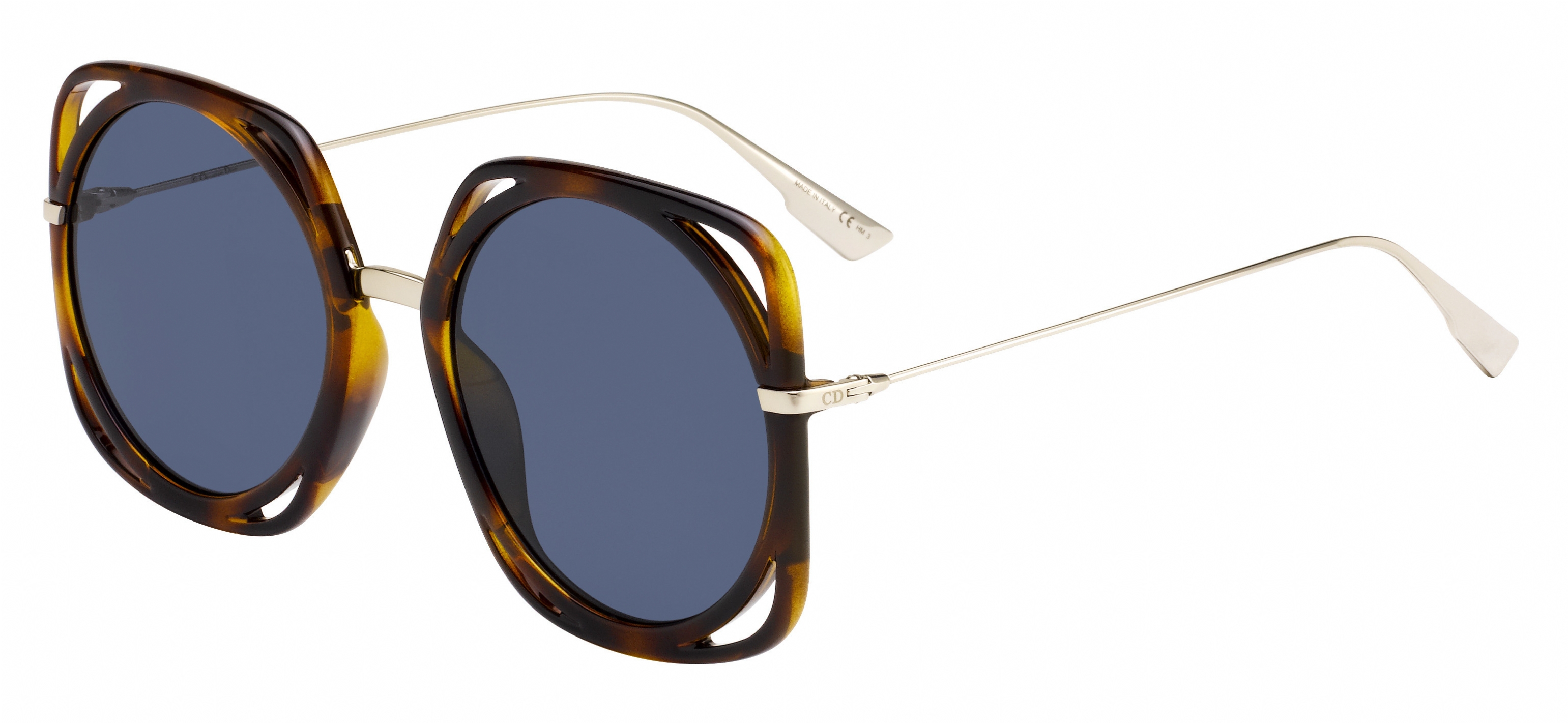 Christian Dior Direction Sunglasses display picture 2