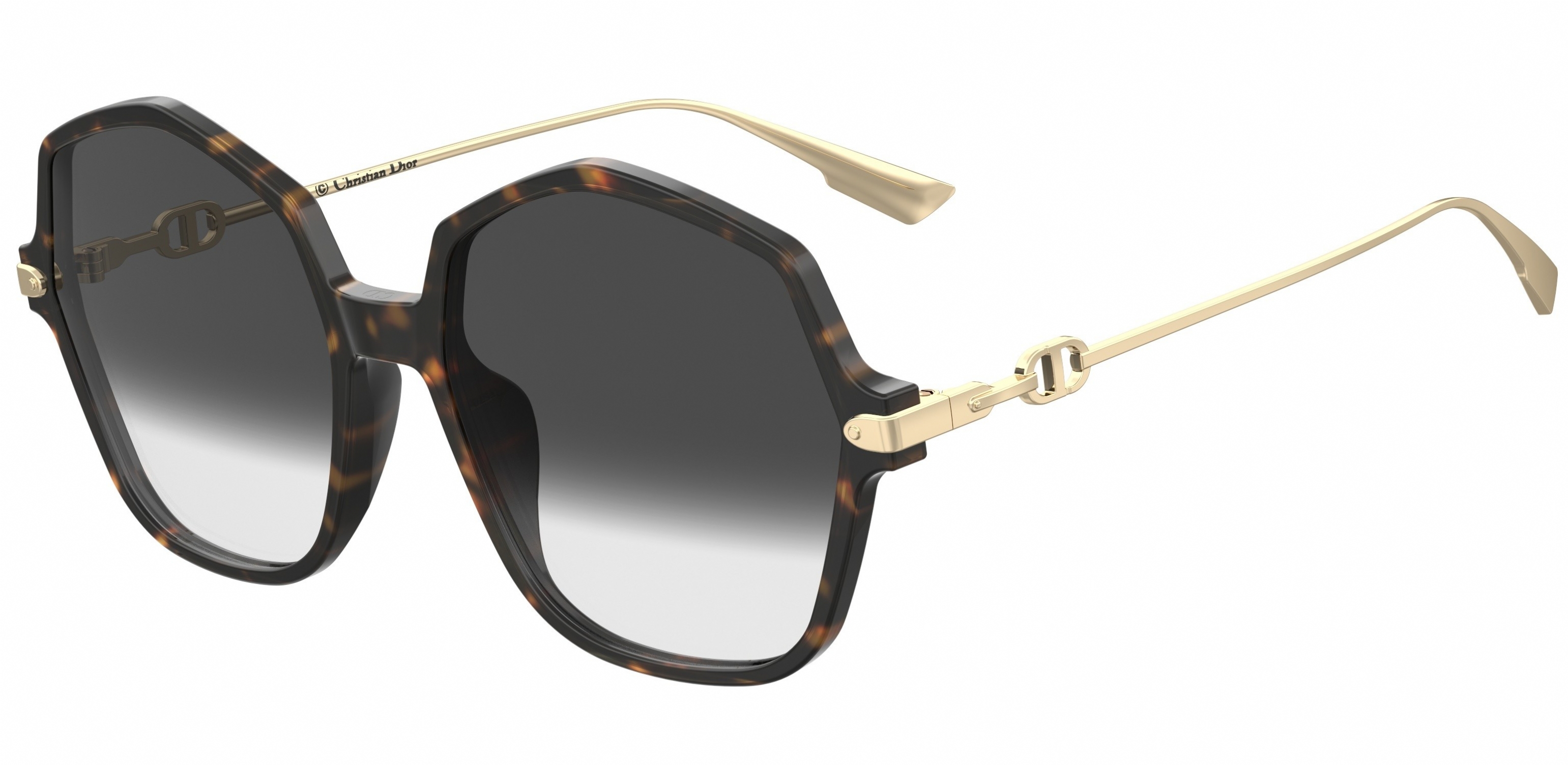 Christian Dior Link2 Sunglasses