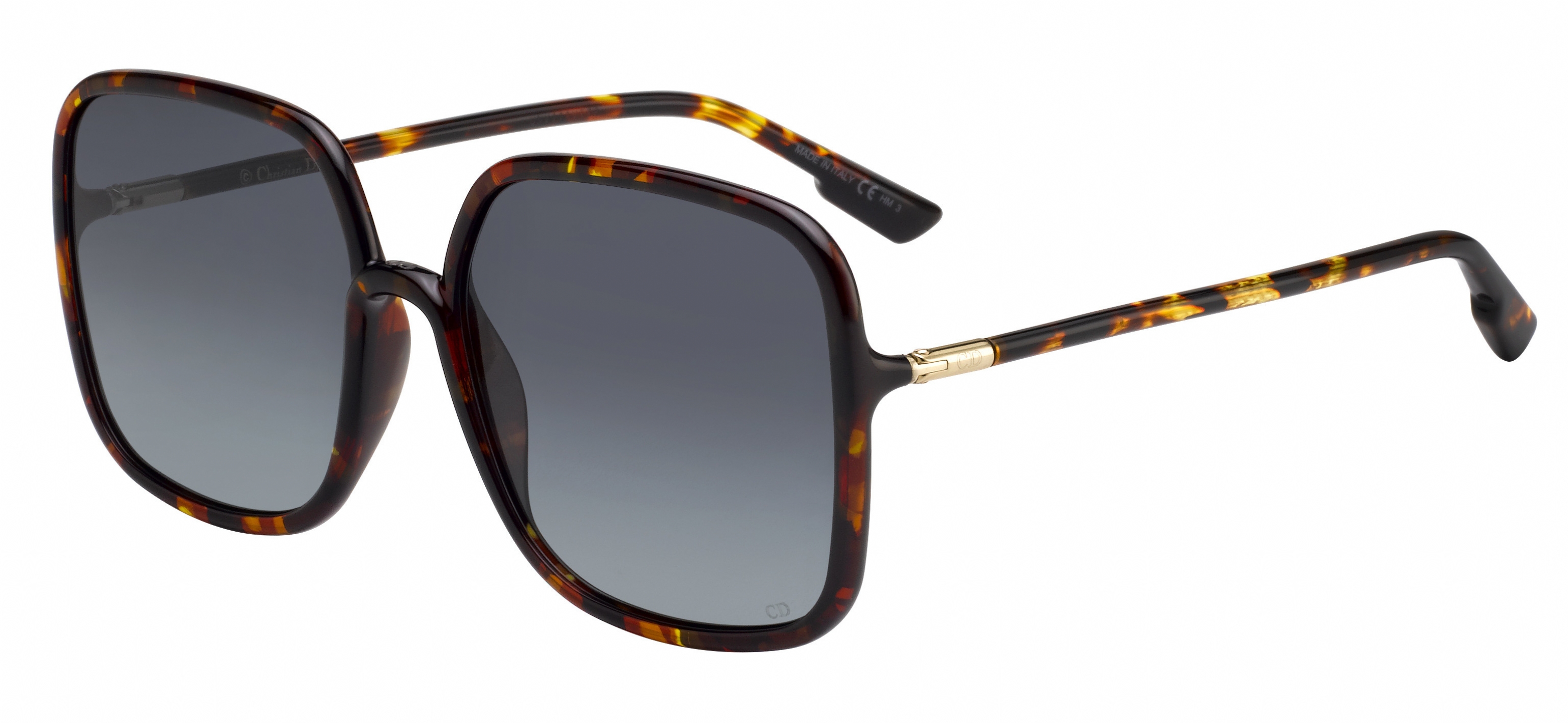 Christian Dior SoStellaire1 スクエア サングラス Christian Dior Sostellaire1 Sunglasses