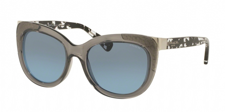 Coach 8171 Sunglasses display picture 1
