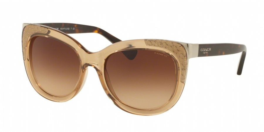 Coach 8171 Sunglasses display picture 2