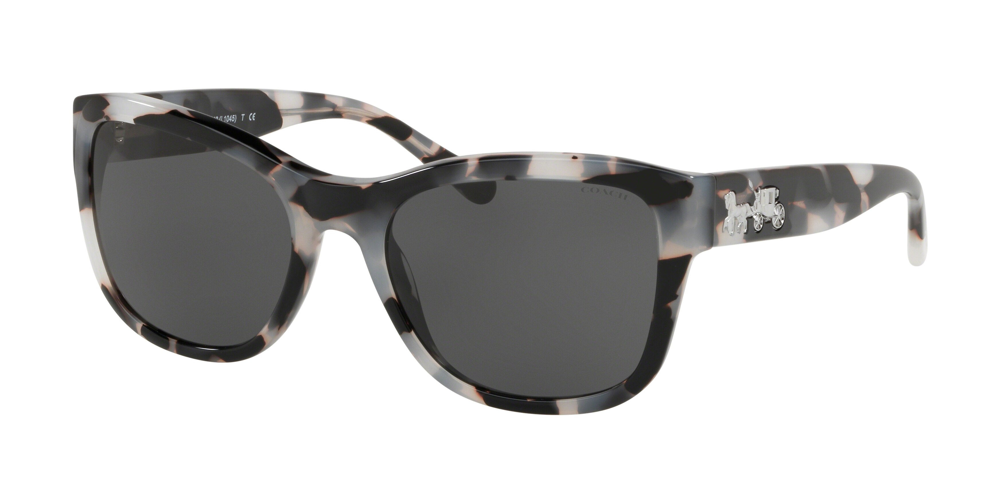 Coach 8243 Sunglasses display picture 1