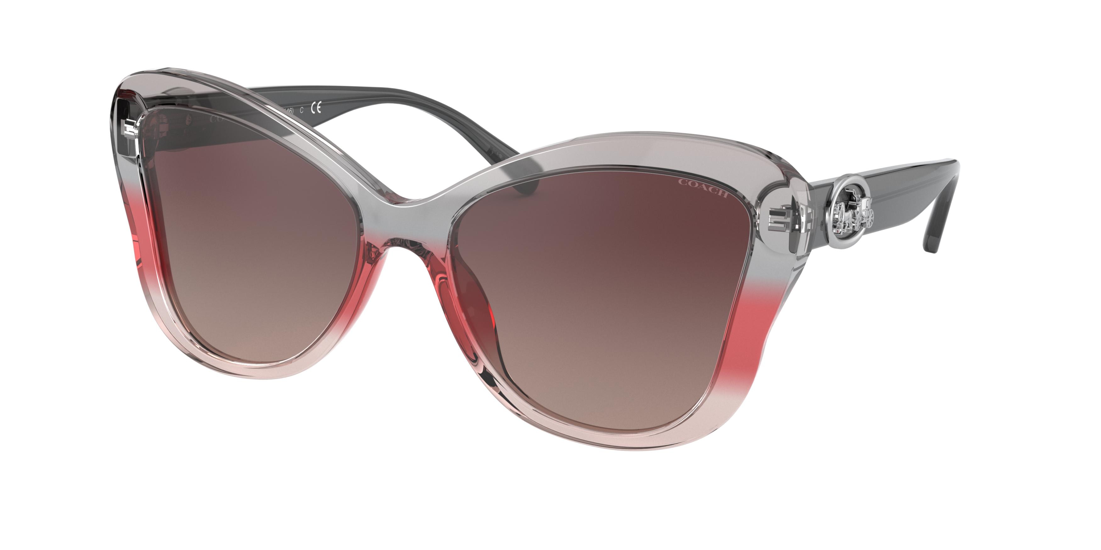 Coach Sunglasses 500273 Coach HC8443D CBY84 - Oval Milky Camel Frame Sunglasses For  main image 4