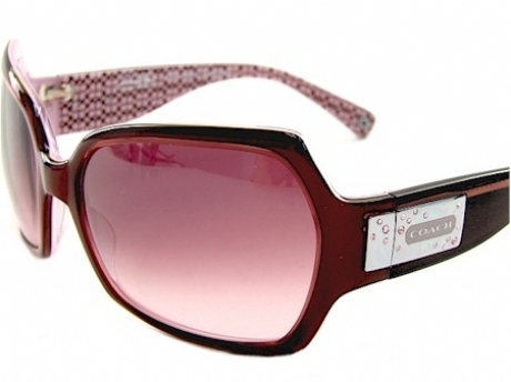 Coach alicia sunglasses 2025