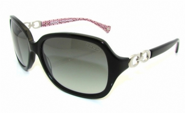 Coach Beatrice Hc8019 L007 Sunglasses display picture 2