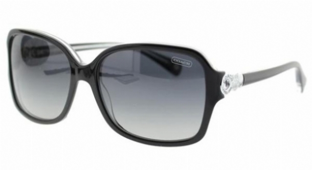 Coach Frances Hc8009 L020 Sunglasses display picture 3