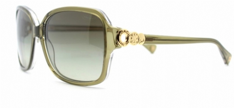 Coach Frances Hc8009 L020 Sunglasses display picture 2