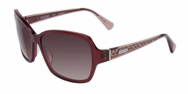 Coach S2049 Sunglasses display picture 3