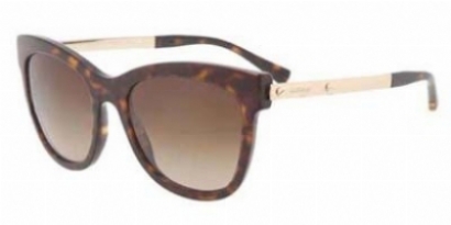 Giorgio Armani Sunglassess 8011 model Giorgio Armani AR 8011 5030/8E Brown Silver Sunglasses 53 19  main image 4