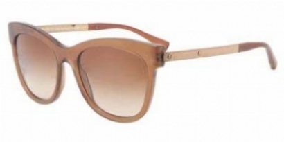 Giorgio Armani Sunglassess 8011 model Giorgio Armani AR 8011 5030/8E Brown Silver Sunglasses 53 19  main image 2